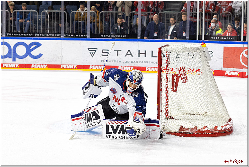 PENNY DEL;  Kölner Haie - Nuernberger Ice Tigers; Köln, 18.11.2022